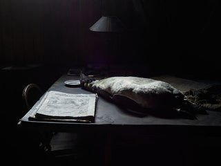 Winter Quarters: Photographs from Cape Evans, Antarctica, 2019