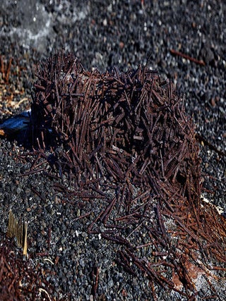 Winter Quarters: Photographs from Cape Evans, Antarctica, 2019