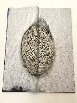 Winter Quarters: Photographs from Cape Evans, Antarctica, 2019