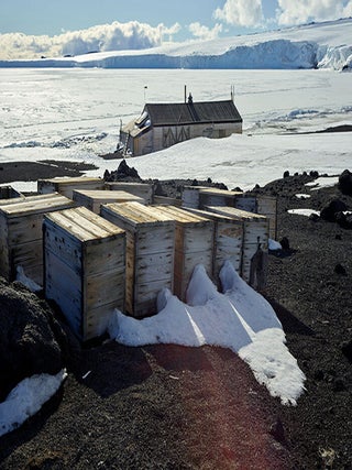 Winter Quarters: Photographs from Cape Evans, Antarctica, 2019