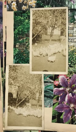 Collage Album of Found Photographs