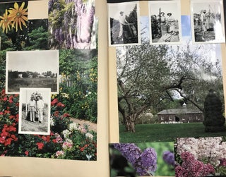 Collage Album of Found Photographs