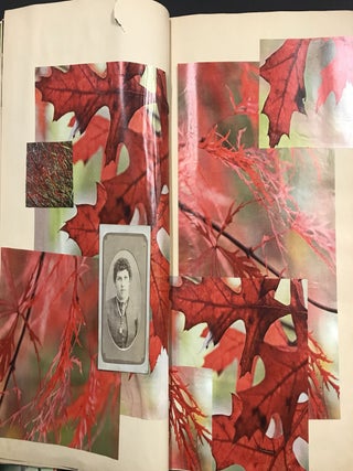 Collage Album of Found Photographs