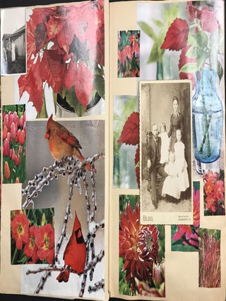Collage Album of Found Photographs