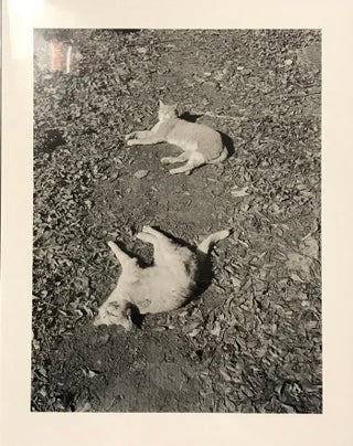 Six by Six, the complete series (thirty-six books, with thirty-six original photographs)